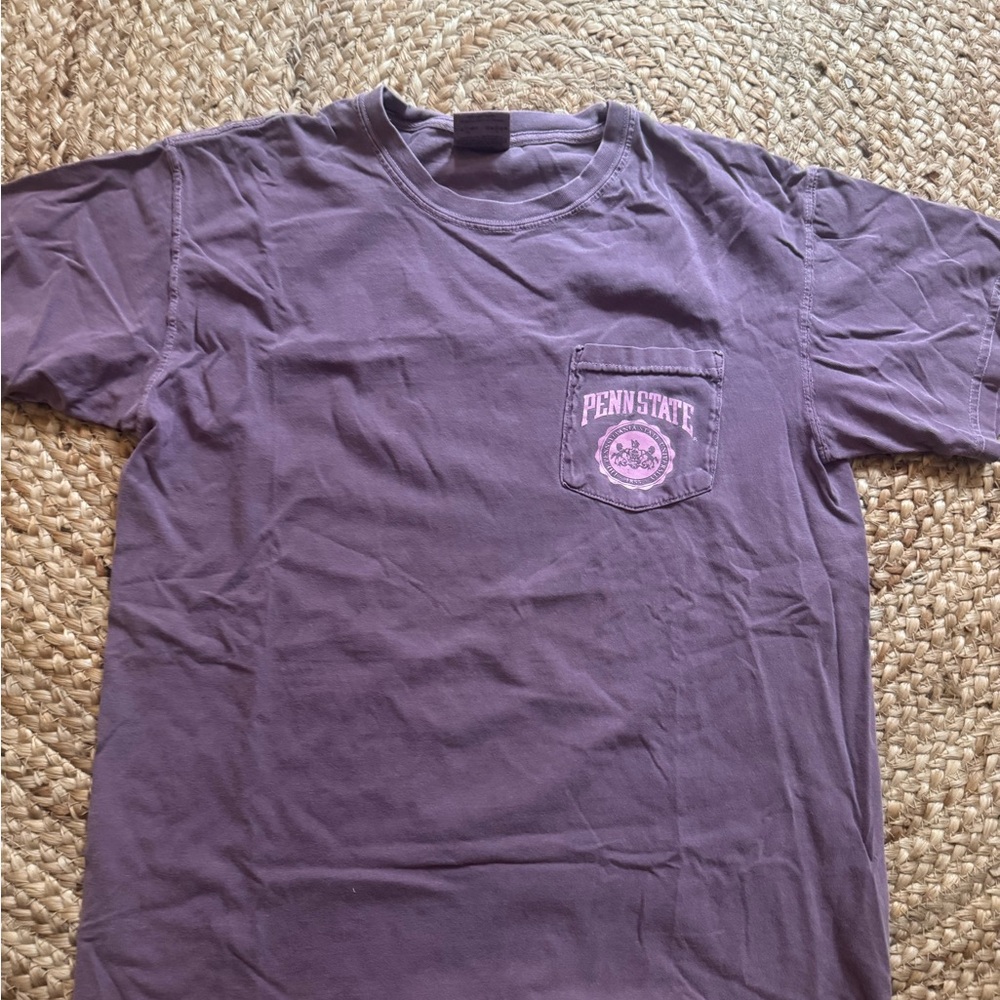 Comfort Colors Purple Penn State Men's Tee
